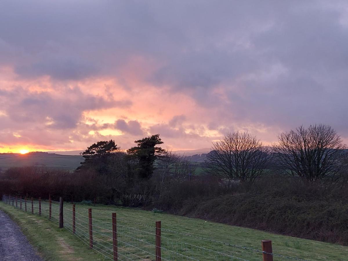 Rose Cottage Bridport Esterno foto